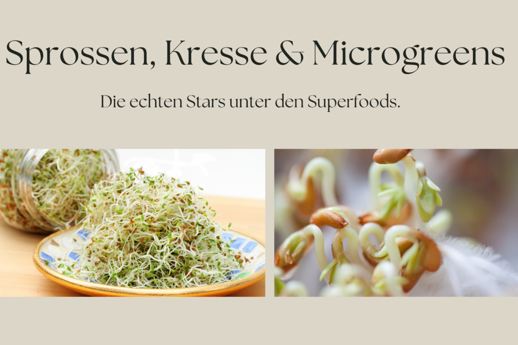Warum Sprossen, Kresse und Microgreens die echten Stars unter den Superfoods sind – und wie du sie selbst anbaust.